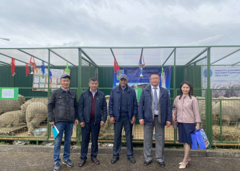 Сибирско-Дальневосточная выставка овец и коз 2022 год.